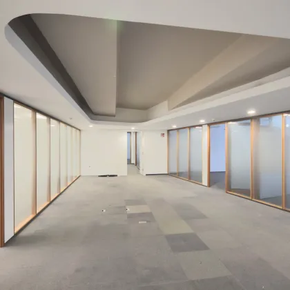 Modernes, hochwertiges Büro in 1010 - Bild 2