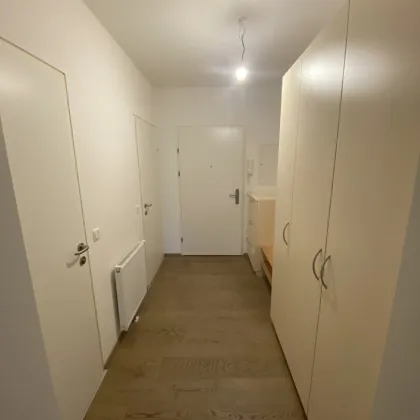 3-Zimmer Mietwohnung mit Terrasse im mitten von Deutsch-Wagram - Bild 3