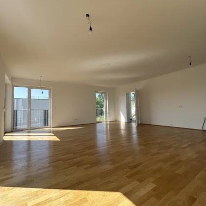 Exklusive Doppelhaushälfte in den Weinbergen - Höchste Energieeffizienz mit Erdwärmeheizung für modernes Wohnen und Genießen! - Bild 2