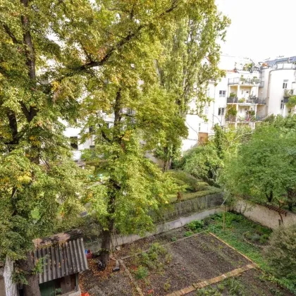 Charmantes 2-Raum-Büro mit Hofblick - Bild 3