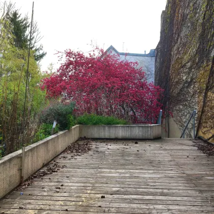 SEHR GROSSZÜGIGE 3-ZIMMER-WOHNUNG MIT RIESIGER TERRASSE - Bild 2