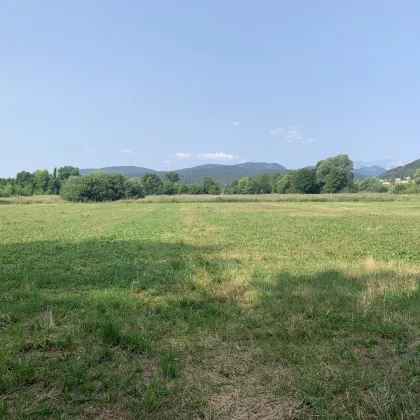 WILLENDORF: Weitläufige Agrarfläche mit erträgnisreichem Boden in sehr guter Lage - Bild 3