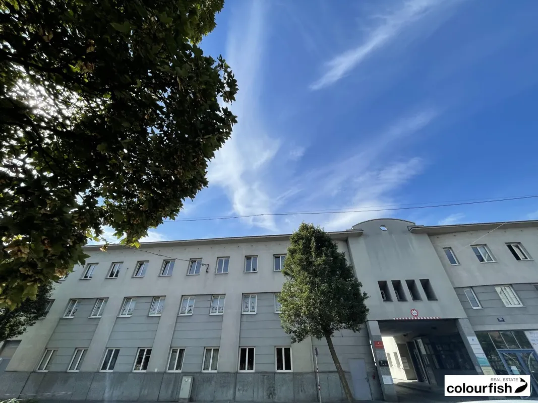 Flexible Lager-/Produktionsfläche beim Kongresspark - Bild 1