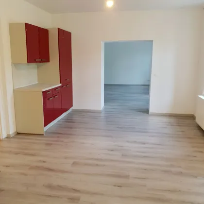 Haus mit Garten zu vermieten!! - Bild 2