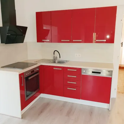 Haus mit Garten zu vermieten!! - Bild 3