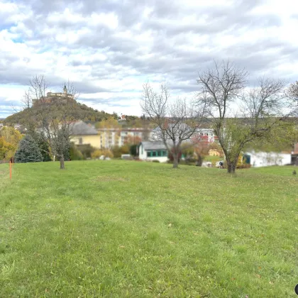 Erhöhtes Baugrundstück mit Blick auf die Burg Güssing - kein Bauzwang - Bild 2