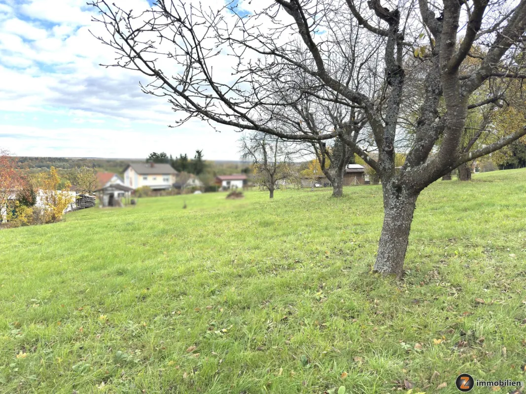 Erhöhtes Baugrundstück mit Blick auf die Burg Güssing - kein Bauzwang - Bild 1