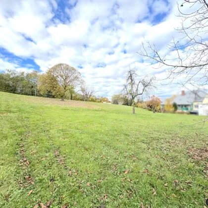 Erhöhtes Baugrundstück mit Blick auf die Burg Güssing - kein Bauzwang - Bild 3