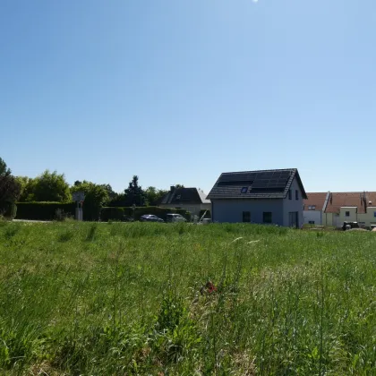 TOP BAUGRUNDSTÜCK IN JUNGER MODERNER SIEDLUNG - Bild 3