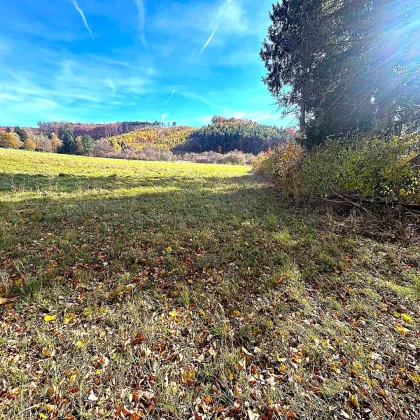 ++ Grund zur Freude! ++ - Bild 3