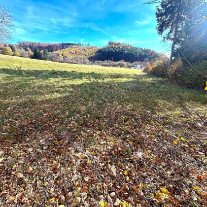 ++ Grund zur Freude! ++ - Bild 2