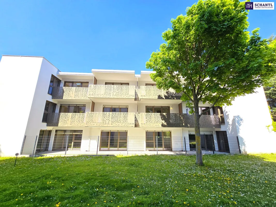 Ruhelage trifft Rendite - Sonne inklusive! WOW - Perfekte Kleinwohnung mit hofseitiger Gartenterrasse! Blick ins Grüne + Komplette Ruhelage + Energieeffizienz + Perfekte Anbindung und Nahversorgung! Jetzt zugfreifen! - Bild 1