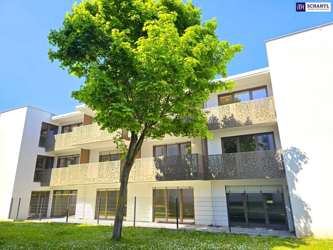 Viel Terrasse, viel Sonne, viel Freude! Perfektes Investment! Erstbezug - TOP Neubauwohnung mit hofseitiger Gartenterrasse! Blick ins Grüne + Komplette Ruhelage + Energieeffizienz + Perfekte Anbindung und Nahversorgung! Jetzt zugfreifen! - Bild 1