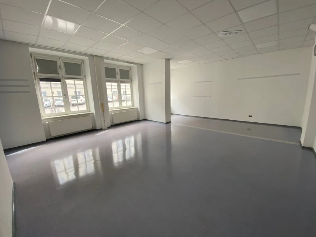 Bestandfreies Stadthaus im Zentrum von Linz zu verkaufen