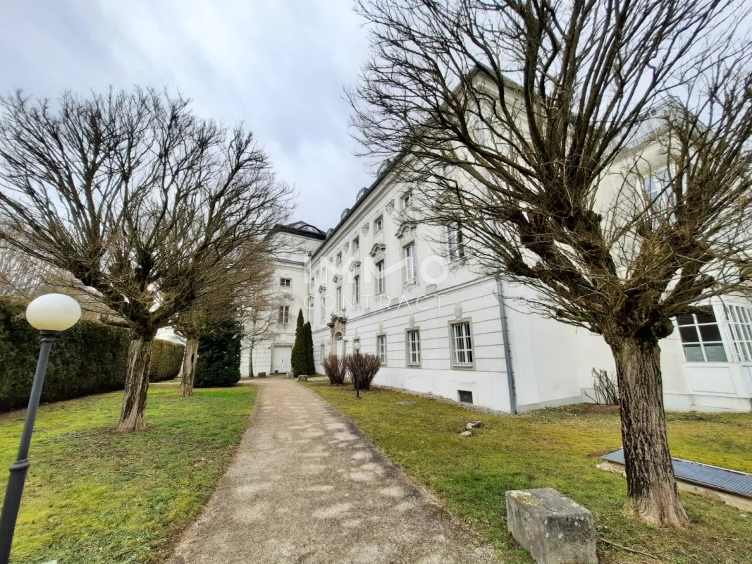 KFZ-Überdachter-Abstellplatz Schloss Traunegg T06