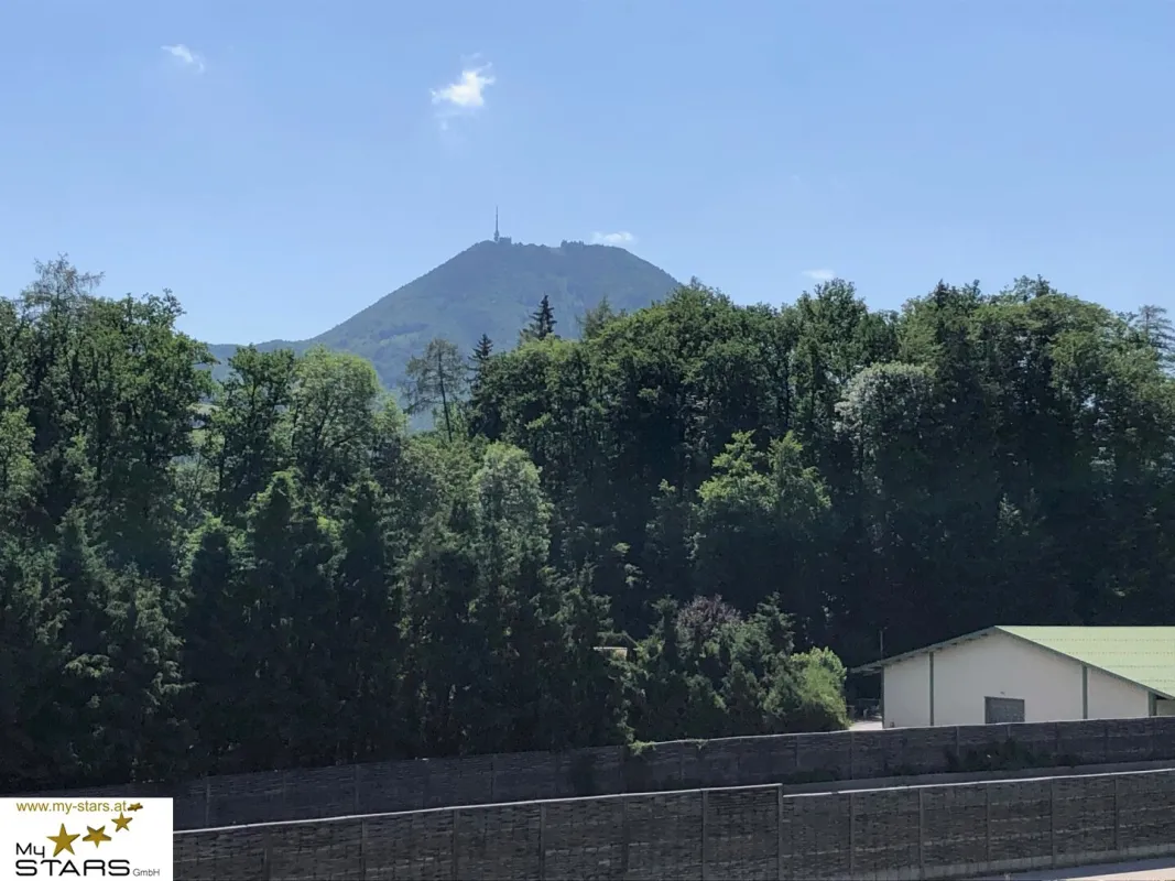 Baubewilligtes BVH am Stadtrand von Salzburg tws. Festungsblick: 10 Wohnungen mit Wintergärten und Tiefgarage