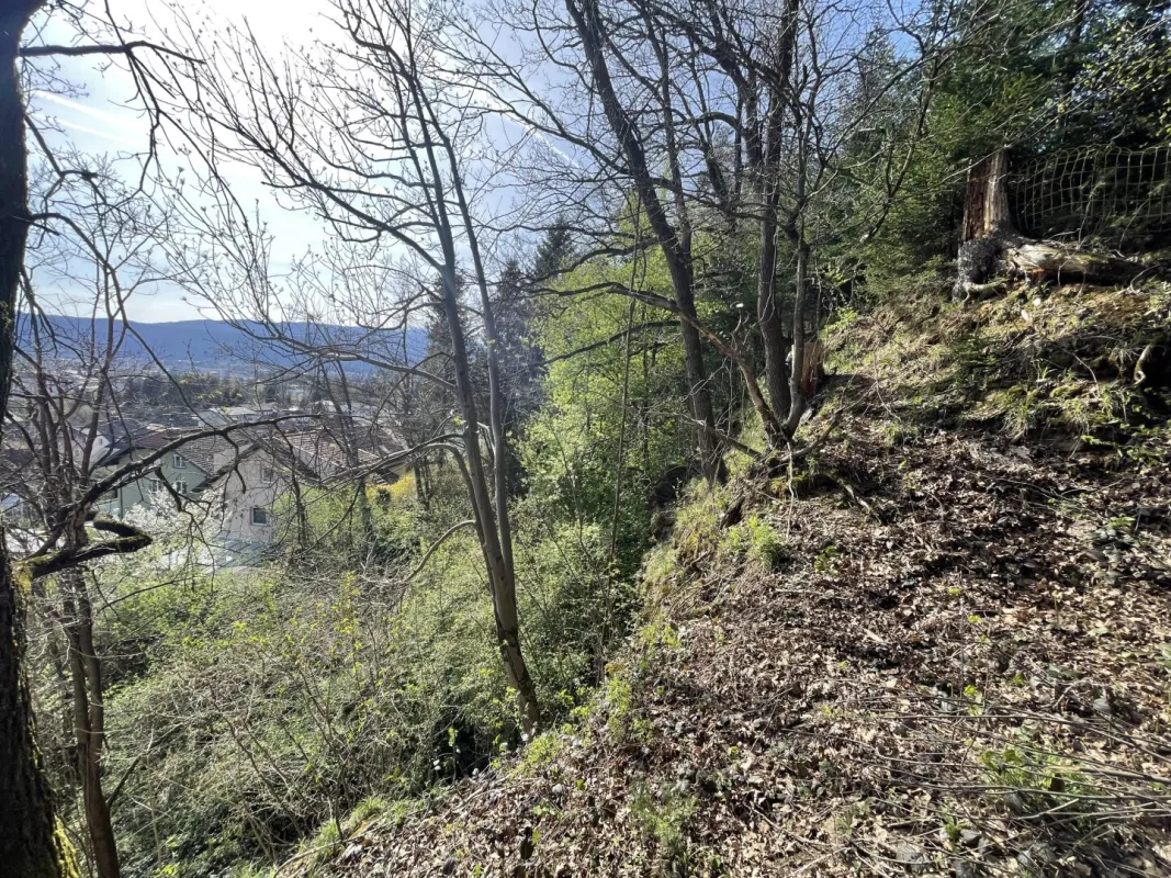Einzigartiges Grundstück mit Felswand am Stadtrand
