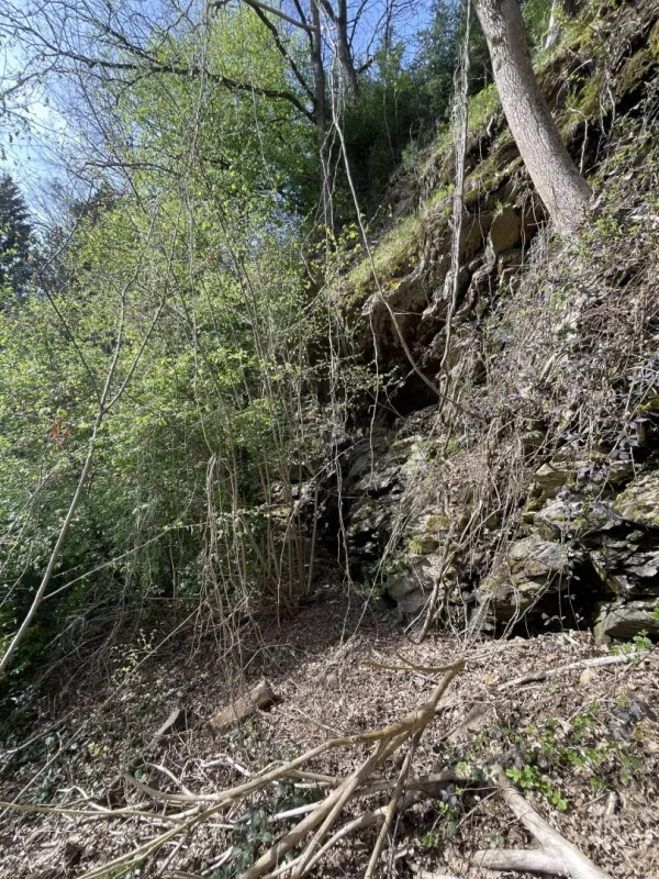 Einzigartiges Grundstück mit Felswand am Stadtrand