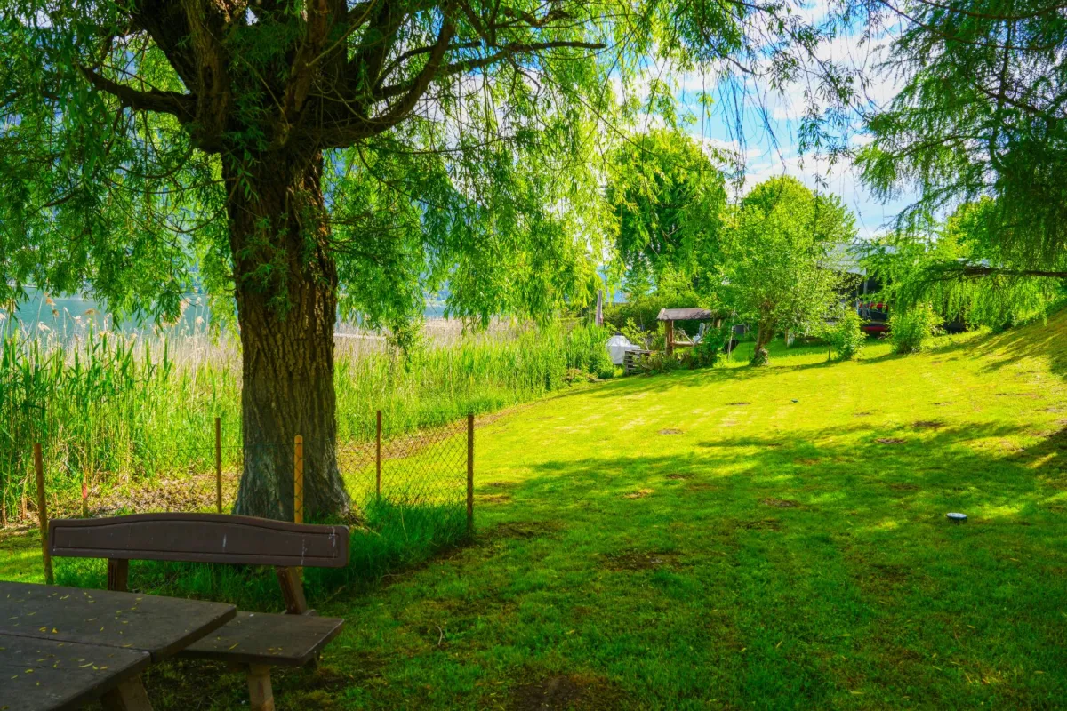 SEEGRUNDSTÜCK mit der perfekten Uferlänge und Grundtücksschnitt