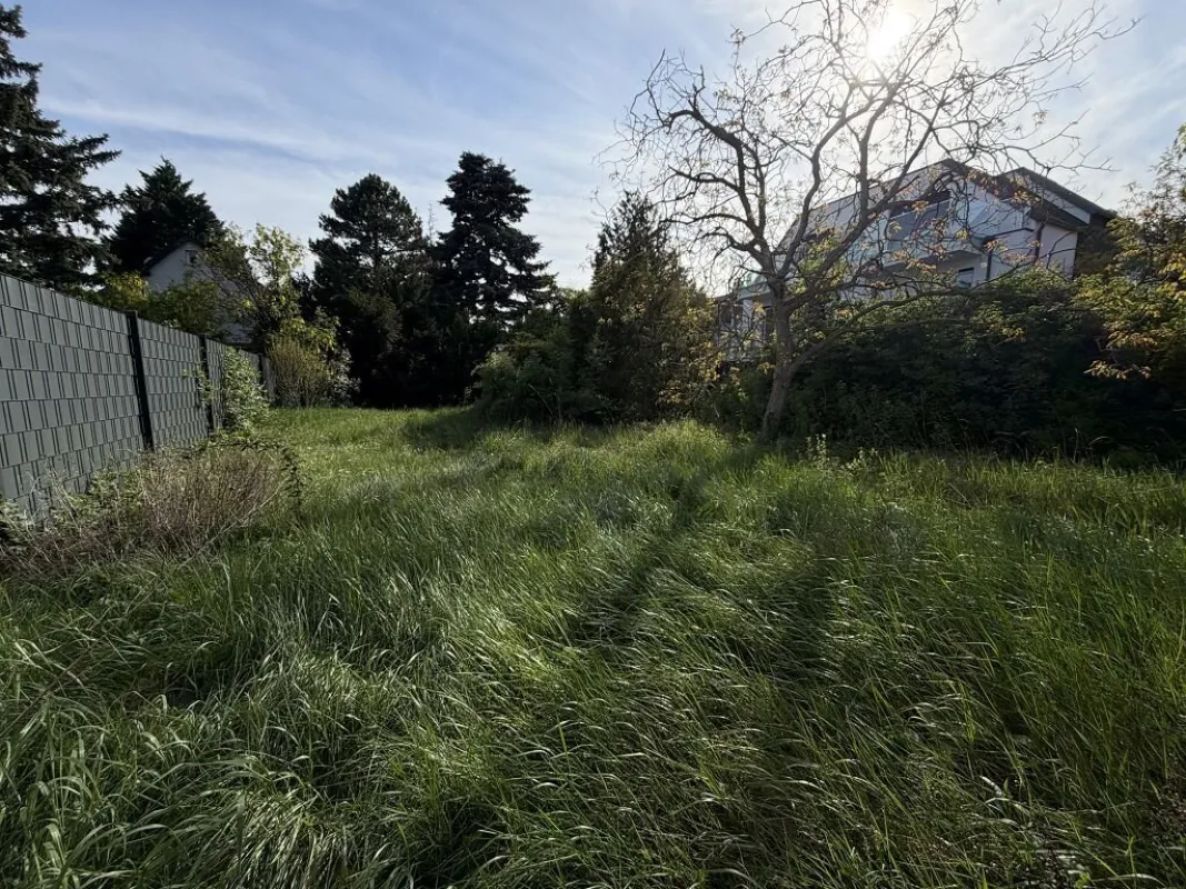 LIESING! LAGERFLÄCHE SAMT GARTENGRUNDSTÜCK zur Vermietung, ca. 60 m2 Lagerfläche und 414 m2 Gartengrundstück, Don-Bosco-Gasse