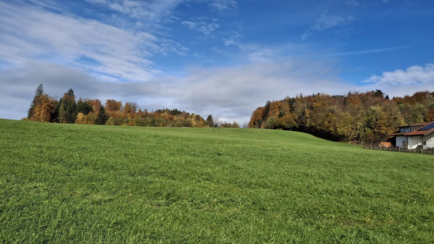 Familienfreundliche Stadtrandlage am Grünen